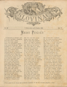 Slovinac 1882/30
